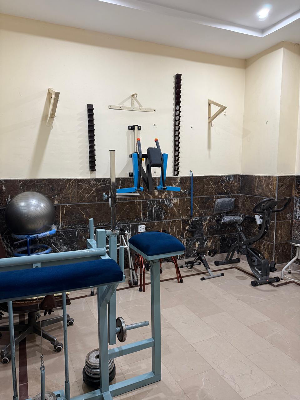 RK Physio Exercise